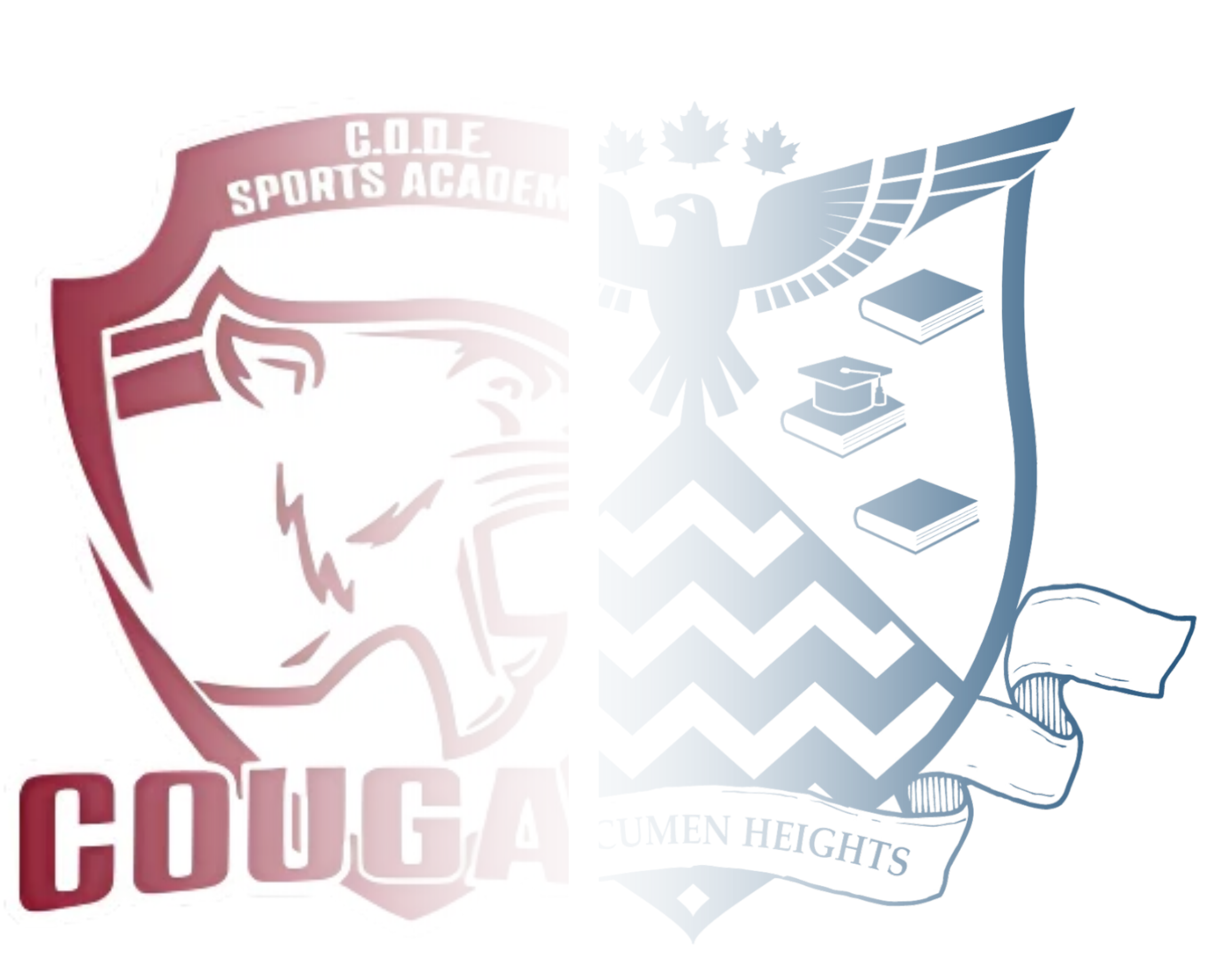 AAH & CODE |Building Literacy, Leadership, and Global Citizenship